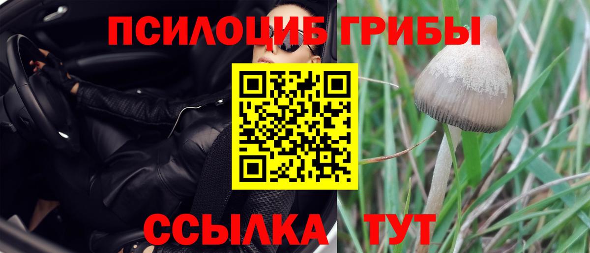 Свободный  Галлюциногенные грибы Psilocybe  Вход с VPN 