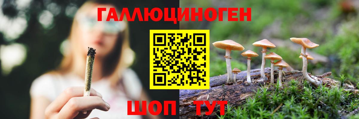 Псилоцибиновые грибы мухоморы Свободный